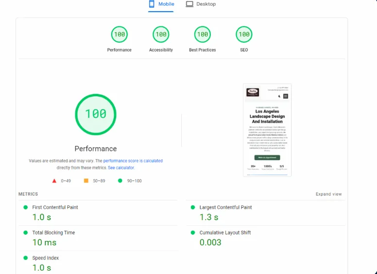 Perfect 100 out of 100 Google PageSpeed Insights score